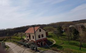 Apartmán s vinným sklepem VIKTORIE Pouzdřany